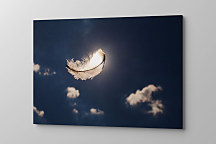 Obraz Letiace pierko 1356